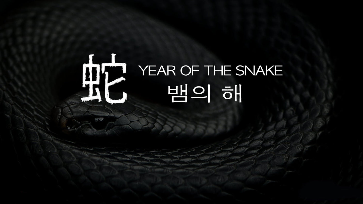 Year of the snake 蛇