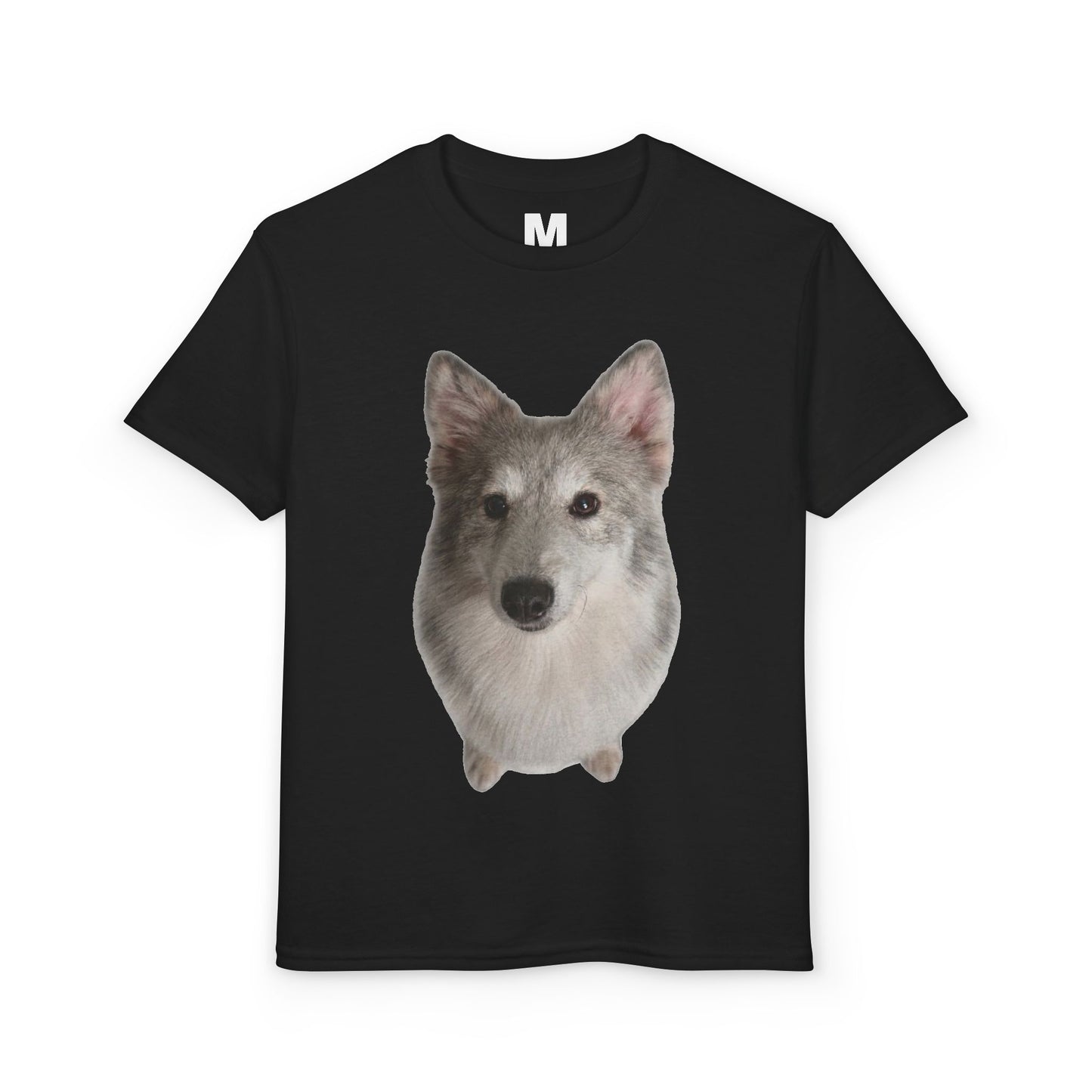 DryBlend T-Shirt (Youth)