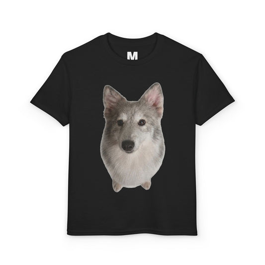 DryBlend T-Shirt (Youth)